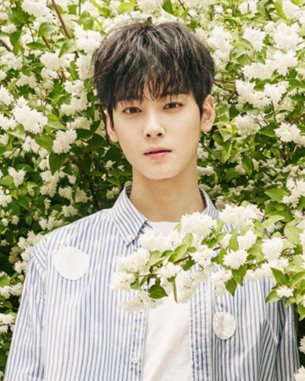 Khi Ảnh Của Cha Eun Woo (Astro) Kết Hợp Với Irene (Red Velvet) Sẽ?